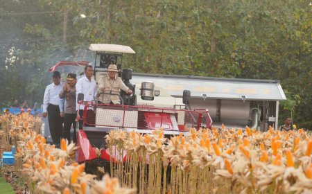 Presiden Prabowo dan Kapolri Panen Raya Jagung Nasional di Tuban Perkuat Ketahanan Pangan