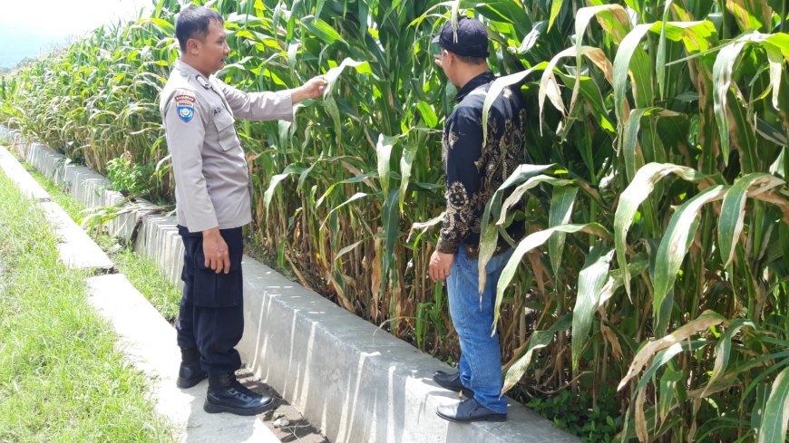 Polres Malang Galakkan Pemanfaatan Pekarangan untuk Perkuat Ketahanan Pangan Nasional