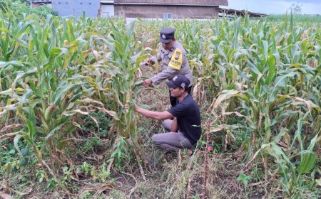 Potensi Pertanian Desa Dikawal Polres Malang untuk Dukung Asta Cita